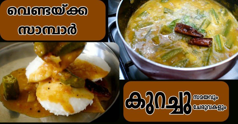 Ladies finger sambar