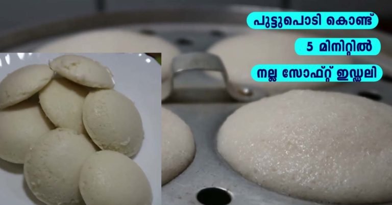 Putt podi idly(instant)