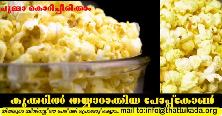 Roasted popcorn