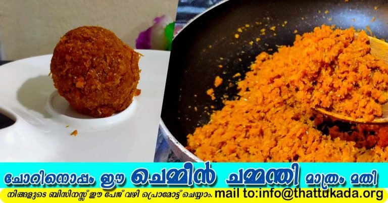 Dry prawn chammanthippodi