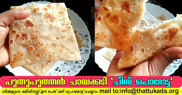 Cheese Porotta
