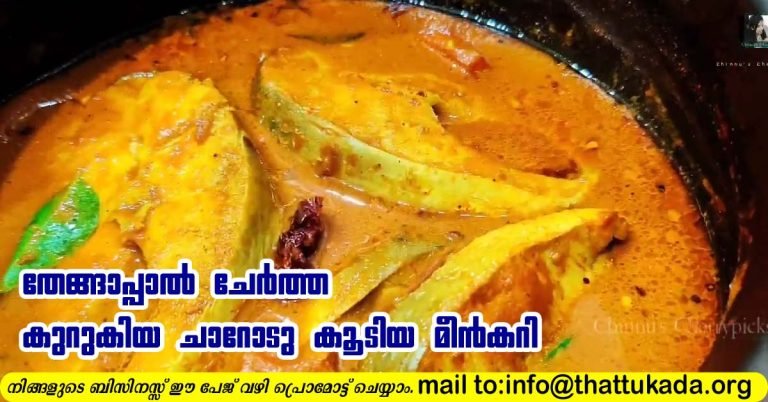 Salmon fish curry