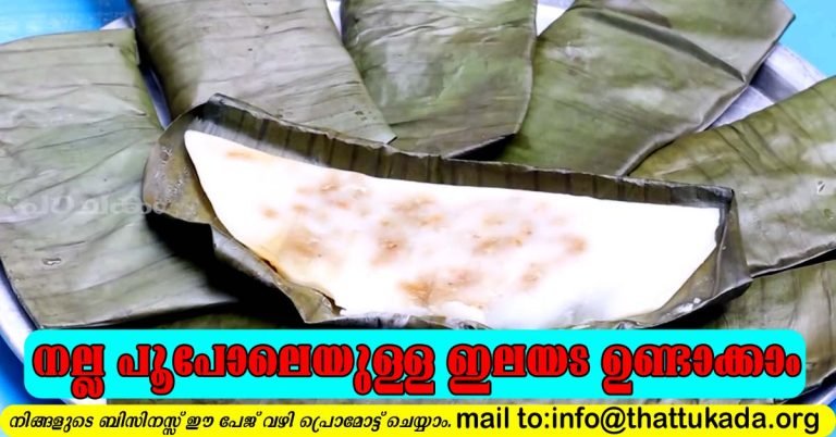 Nadan Ilayada