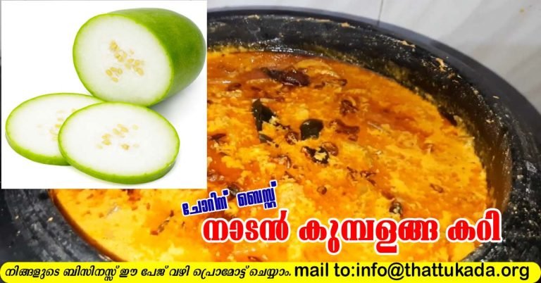 Ash gourd curry