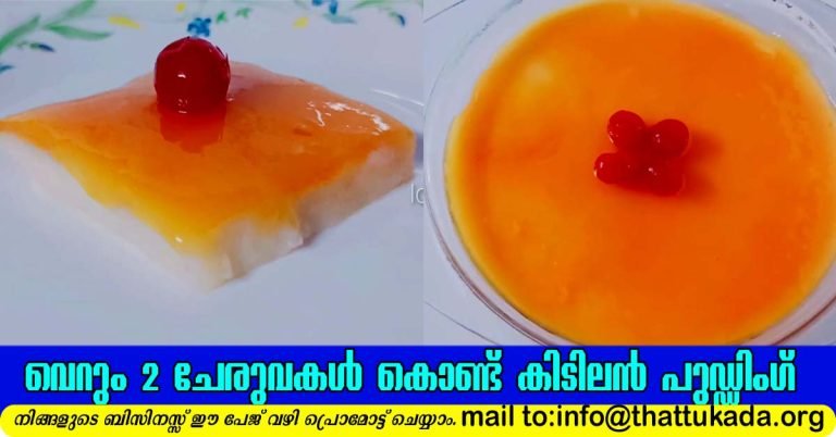 Milk maida pudding