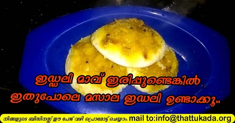Masala Idli