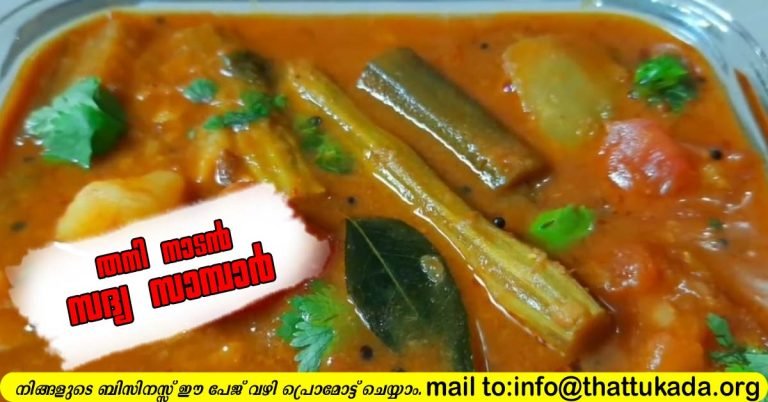 Easy Sambar