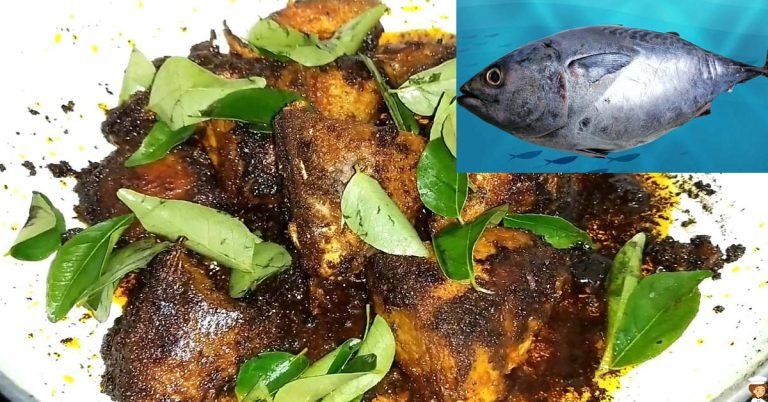 Tuna Fish Fry