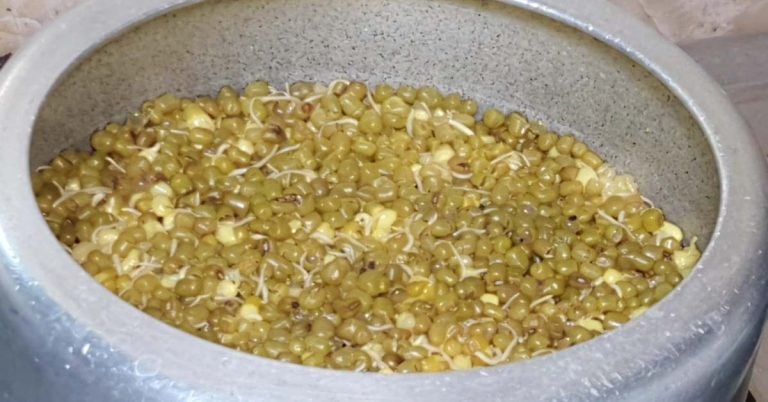 Sprouted green gram recipe