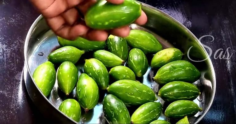 Ivy gourd stir fry