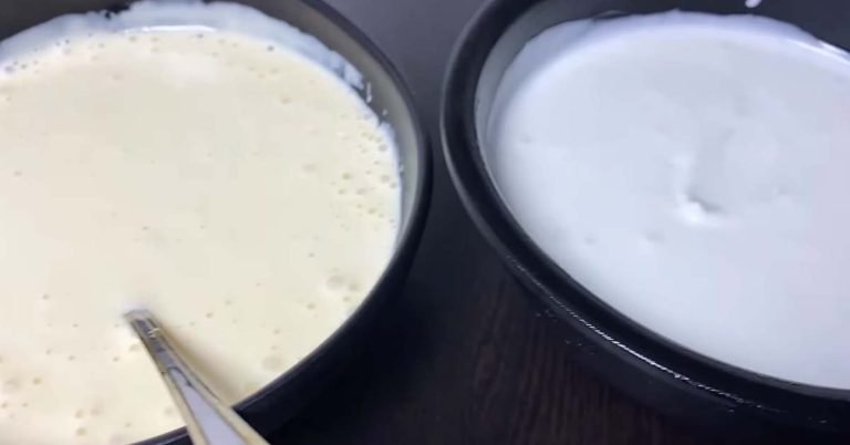 Pasteurized Mayonnaise