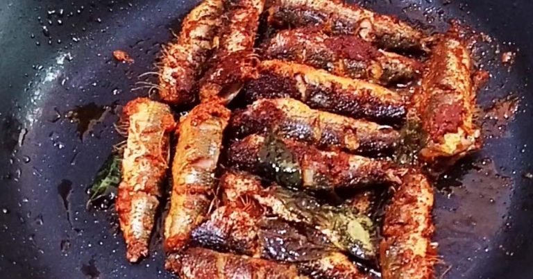 Sardine fish fry