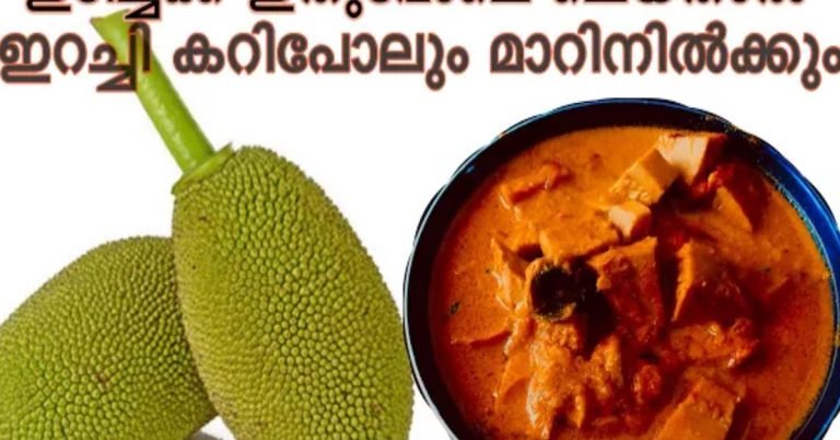Idi Chakka Curry