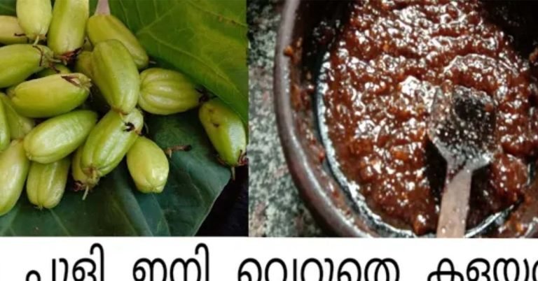 Bilimbi Curry