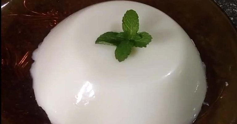 Coconut milk Pudding