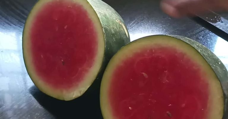 Watermelon Drink