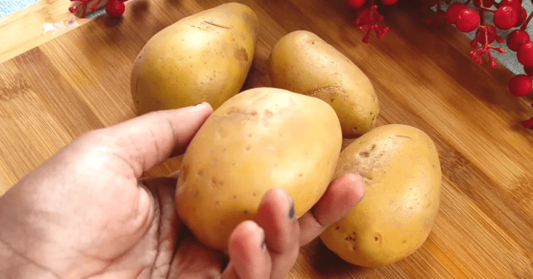 Potato Masala Curry