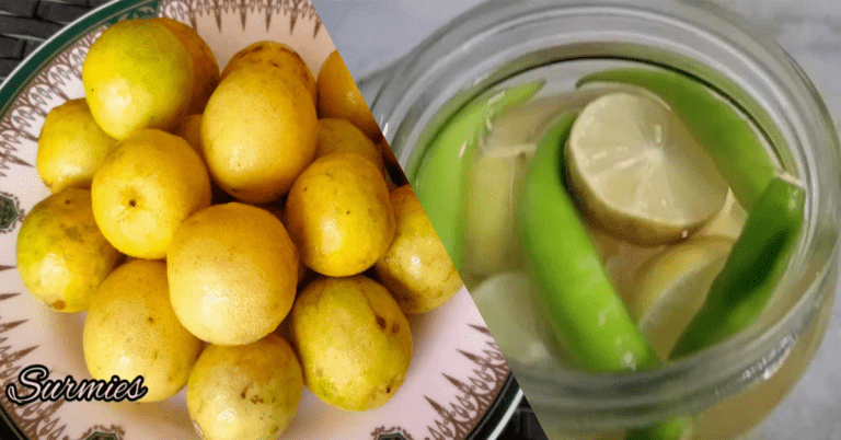 How to Store lemon in long term