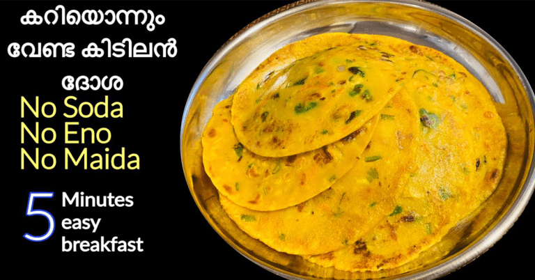 5 minute breakfast dosa