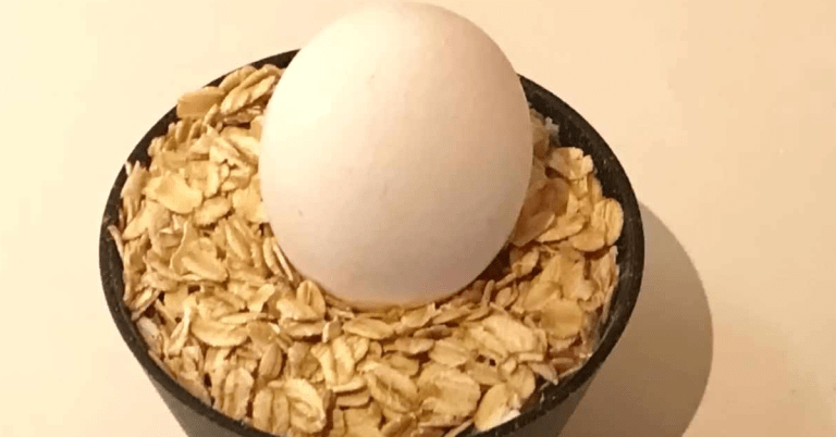Egg, Oats Breakfast