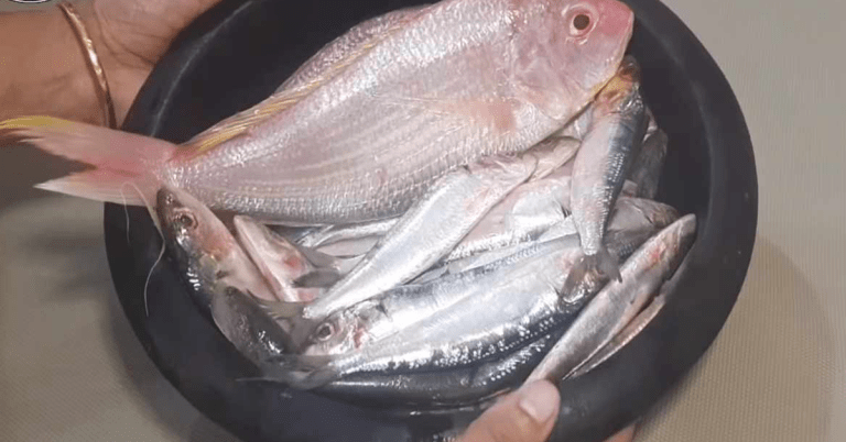 Easy Fish Cleaning