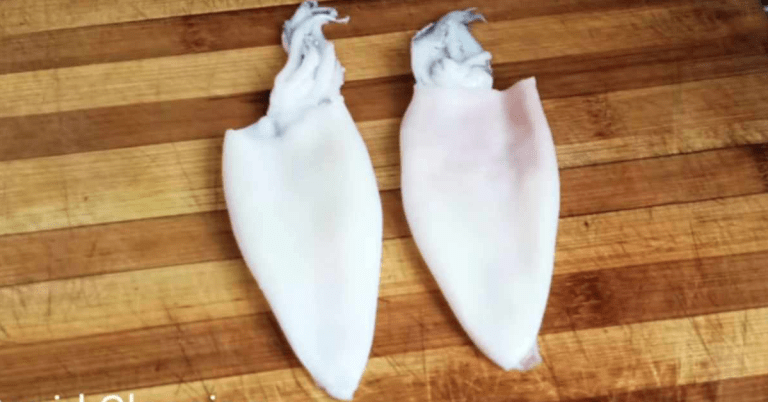 Squid fish cleaning