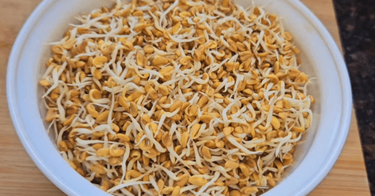 Sprouted fenugreek Recipe