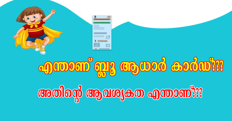 Blue Adhar Card