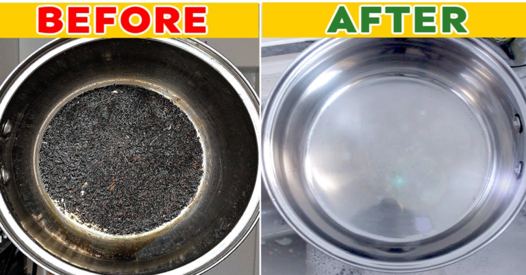 Burnt Pot Cleaning