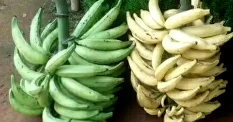 Ripe Banana Naturally