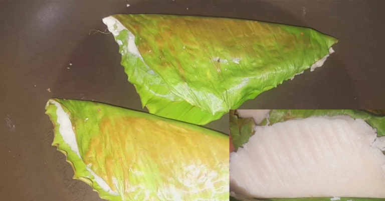 Fried Banana leaf Ada