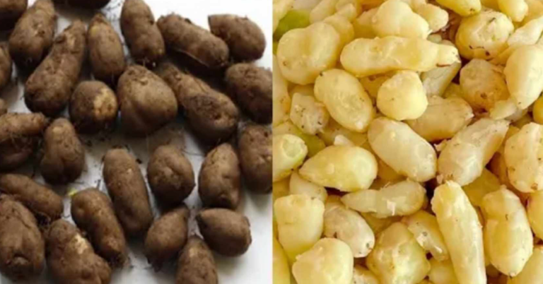 Chinese potato cleaning