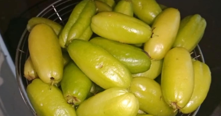 Bilimbi Pickle