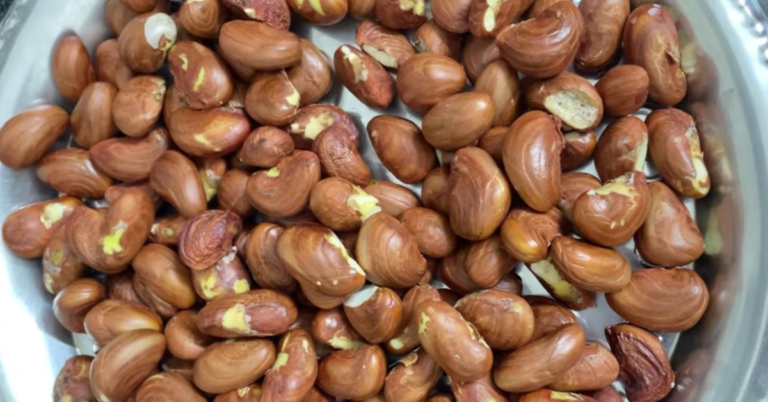 jackfruit seed mezhukkupuratti