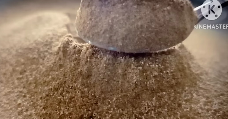 Onion Powder