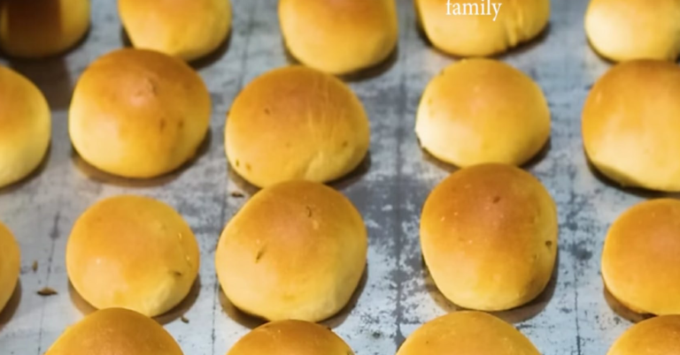 Unda Biscuit