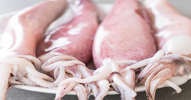 Squid snack